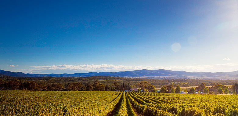 emerging australian wine regions making their mark